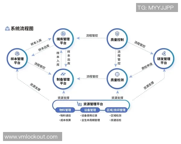 深圳篮球队防守革新之路：从传统到现代的全新战术解析与实践探索